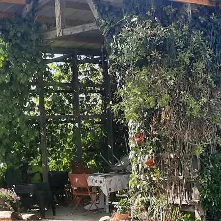 Chez Régis * Lachapelle (Tarn-et-Garonne)